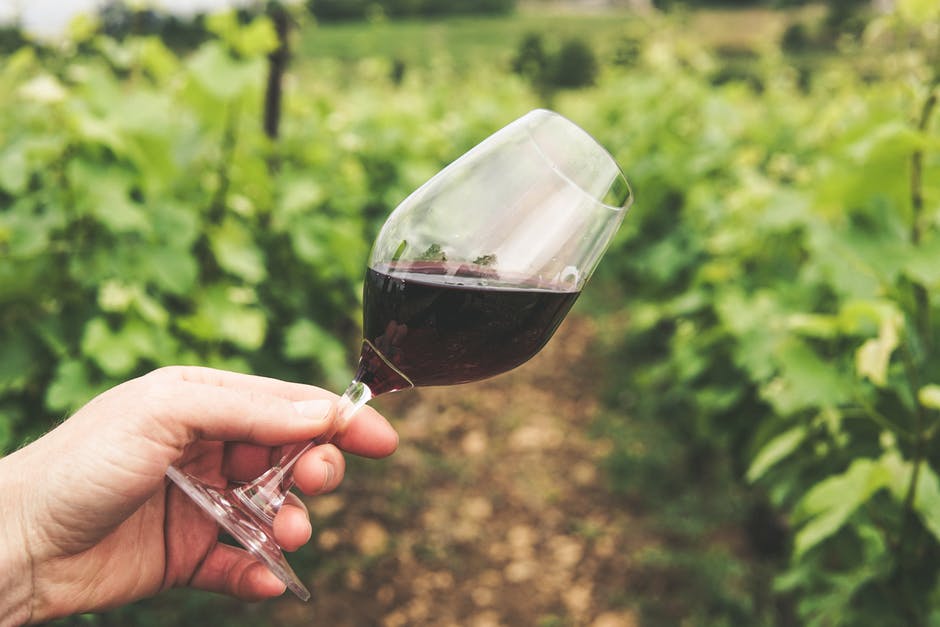 Spotlighting Pinot Noir: Does It Age Well in Barrels?